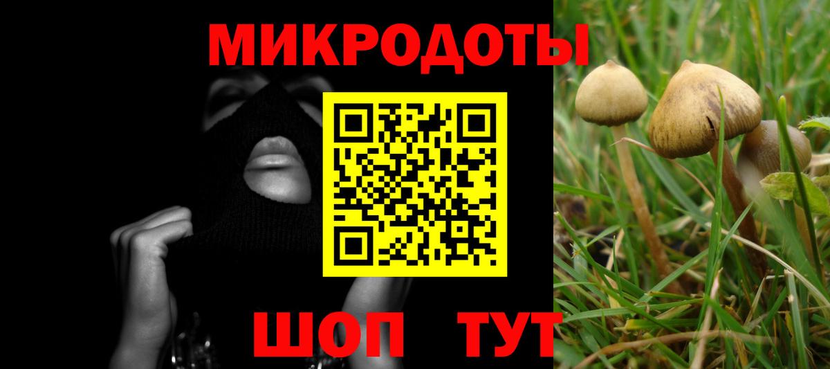 Семёнов  Псилоцибиновые грибы Cubensis  Вход с VPN 